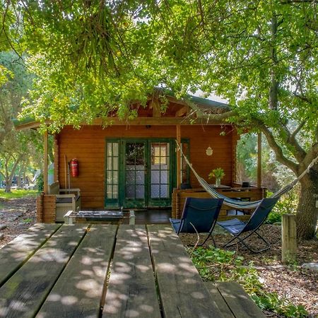 Amikam Meshek 81 משק 81 עמיקם Villa Dış mekan fotoğraf