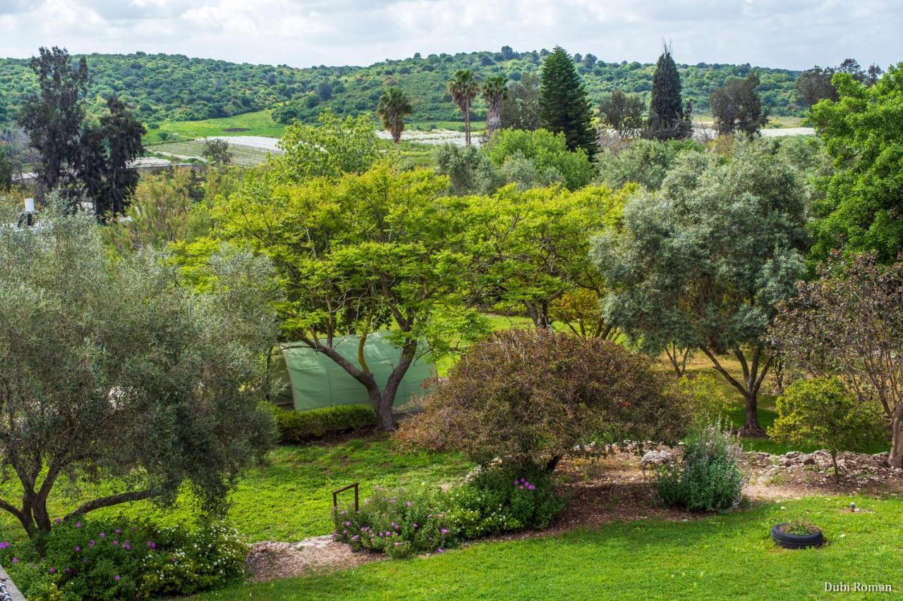 Amikam Meshek 81 משק 81 עמיקם Villa Dış mekan fotoğraf