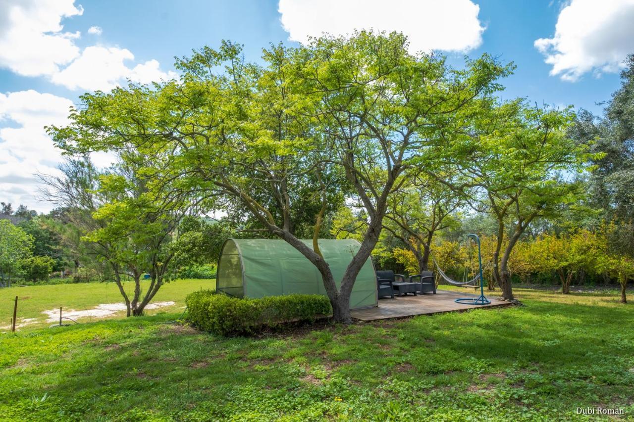 Amikam Meshek 81 משק 81 עמיקם Villa Dış mekan fotoğraf