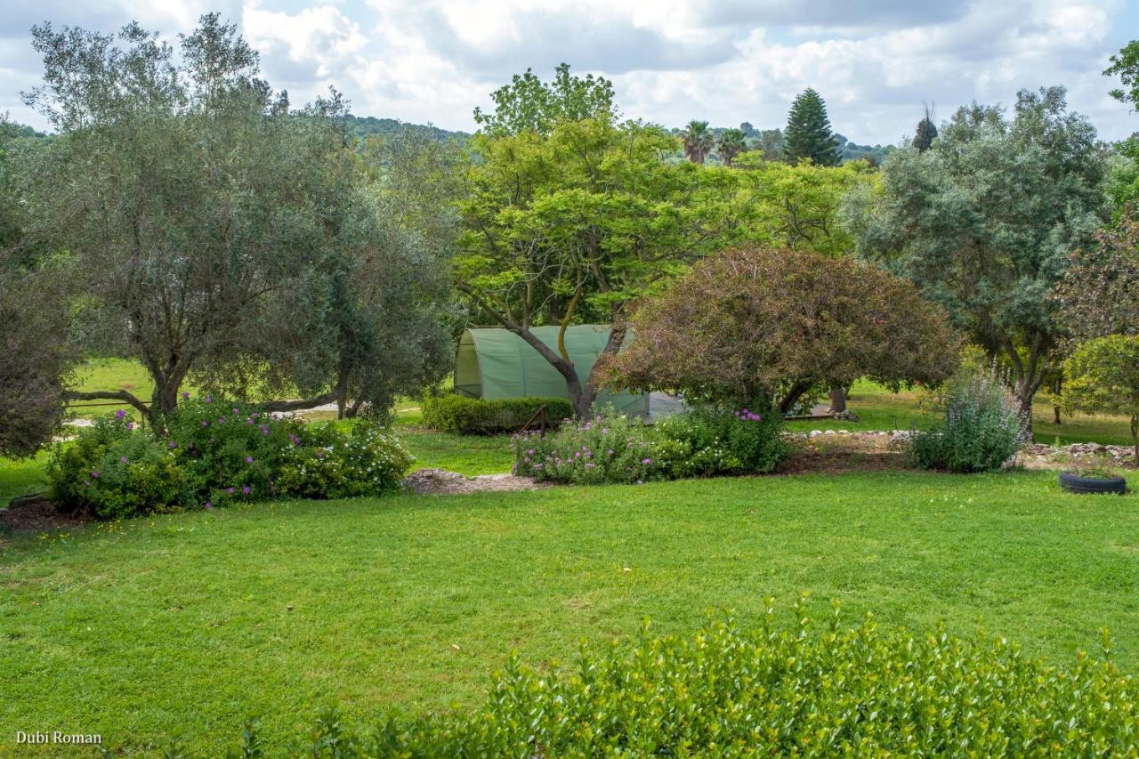 Amikam Meshek 81 משק 81 עמיקם Villa Dış mekan fotoğraf