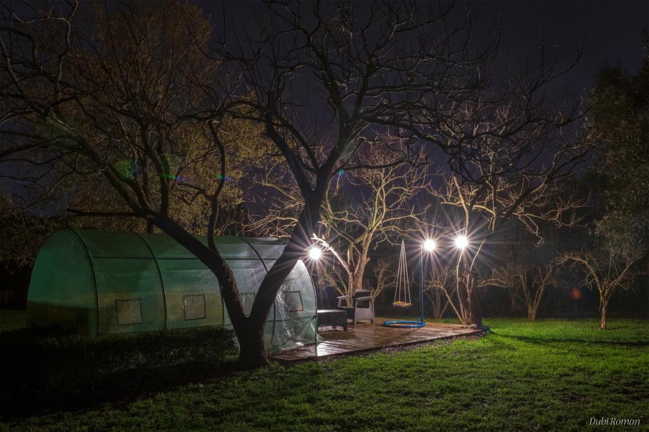 Amikam Meshek 81 משק 81 עמיקם Villa Dış mekan fotoğraf