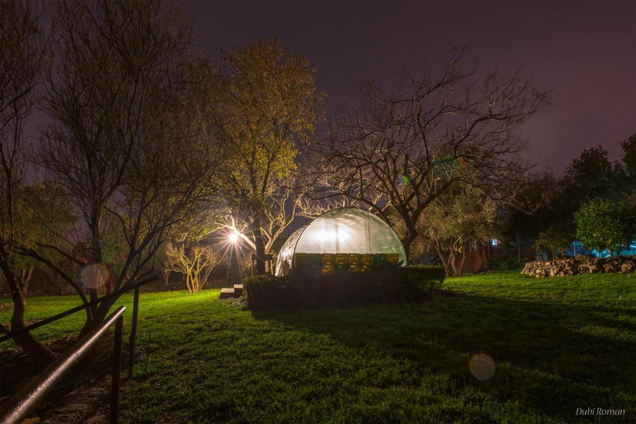 Amikam Meshek 81 משק 81 עמיקם Villa Dış mekan fotoğraf