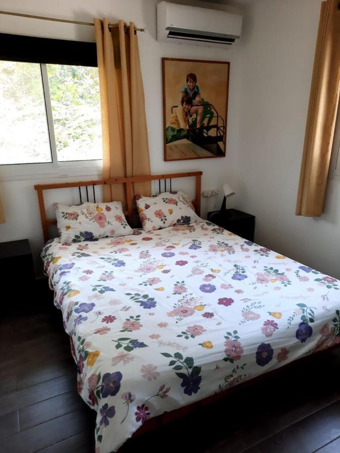 Amikam Meshek 81 משק 81 עמיקם Villa Dış mekan fotoğraf