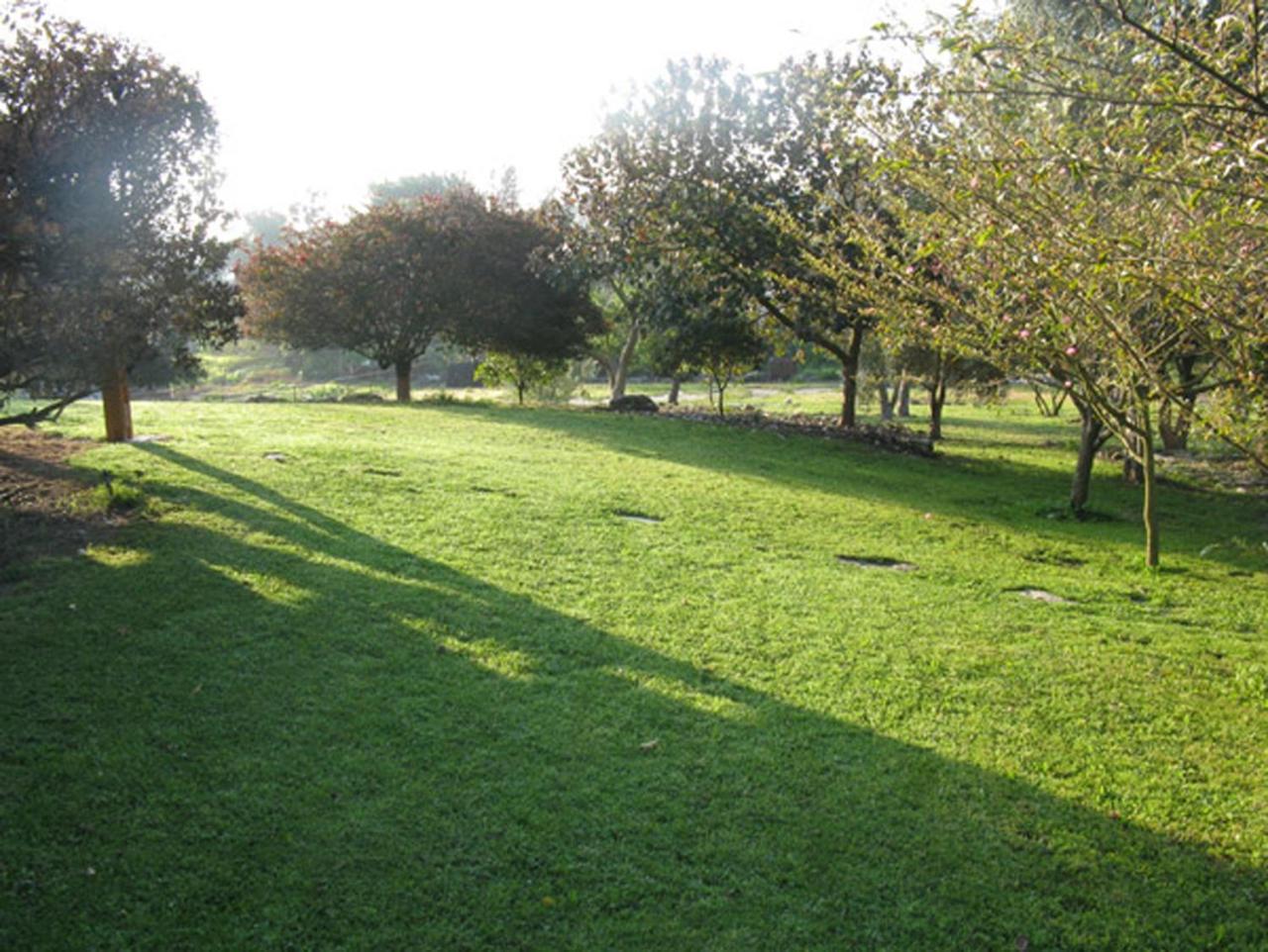 Amikam Meshek 81 משק 81 עמיקם Villa Dış mekan fotoğraf